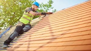 Best Roof Moss and Algae Removal  in Dallas, TX