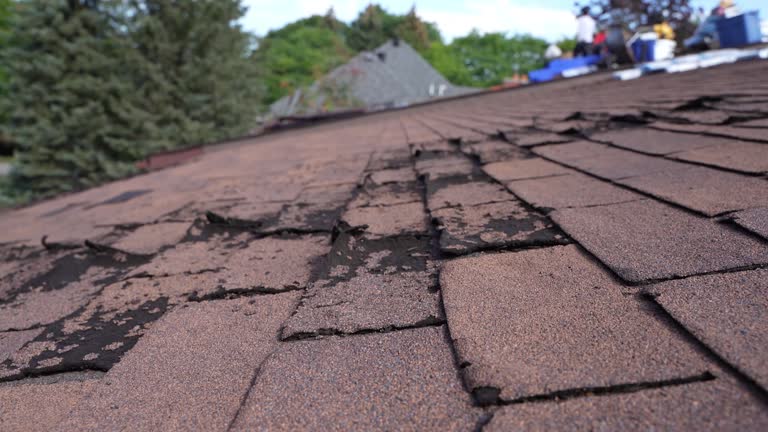 Best Roof Ventilation Installation  in Dallas, TX