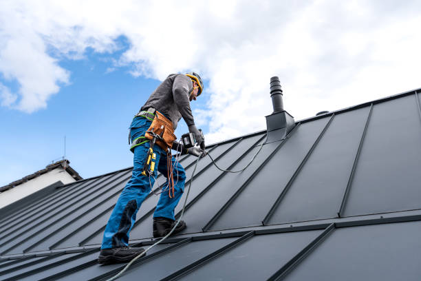 Best Solar Panel Roofing Installation  in Dallas, TX